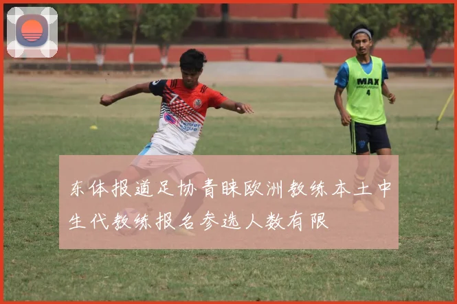 东体报道足协青睐欧洲教练本土中生代教练报名参选人数有限