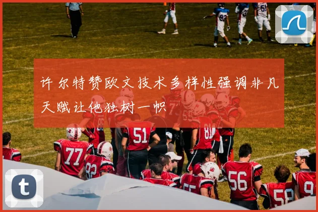许尔特赞欧文技术多样性强调非凡天赋让他独树一帜