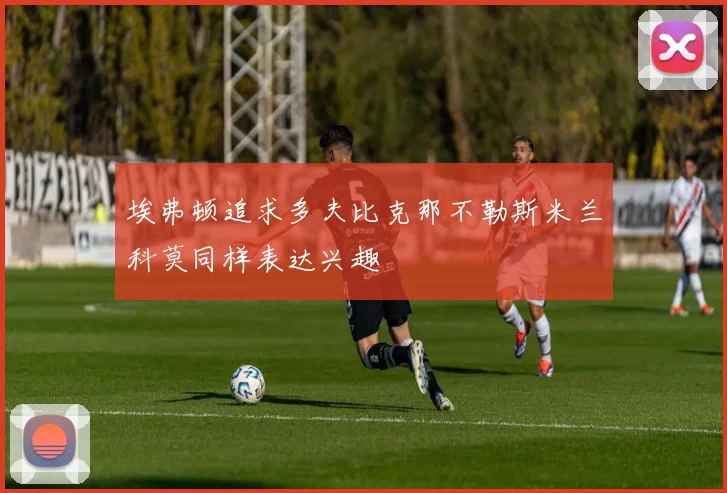 埃弗顿追求多夫比克那不勒斯米兰科莫同样表达兴趣