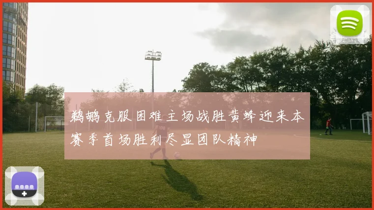 鹈鹕克服困难主场战胜黄蜂迎来本赛季首场胜利尽显团队精神