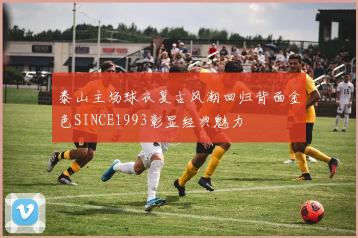 泰山主场球衣复古风潮回归背面金色SINCE1993彰显经典魅力