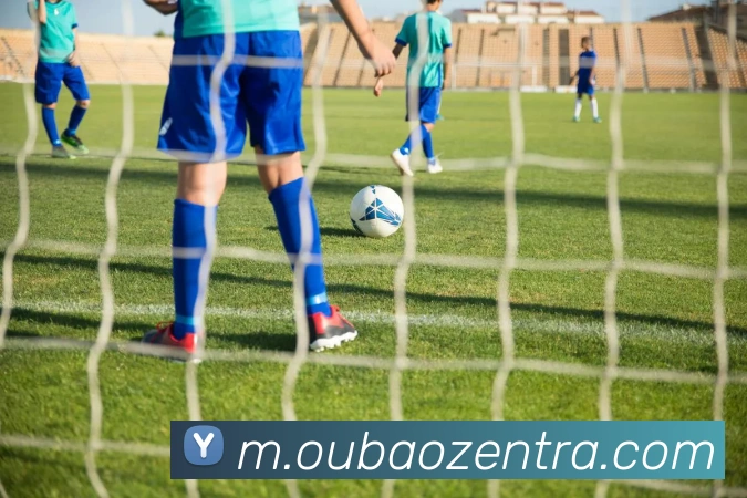 欧宝真人平台生态图